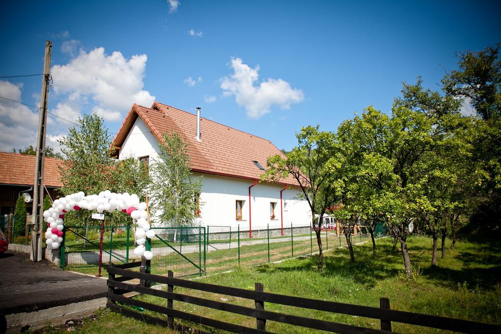 Willa Conacul De Sub Munte Novaci-Străini Zewnętrze zdjęcie